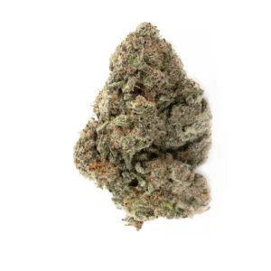 BUddah Society Blueberry Muffin flower