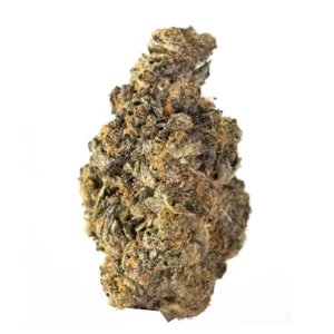 BUddah Society Permanent Marker Exotic Strain