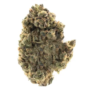 Buddah Society Dream Runtz Hemp Flower