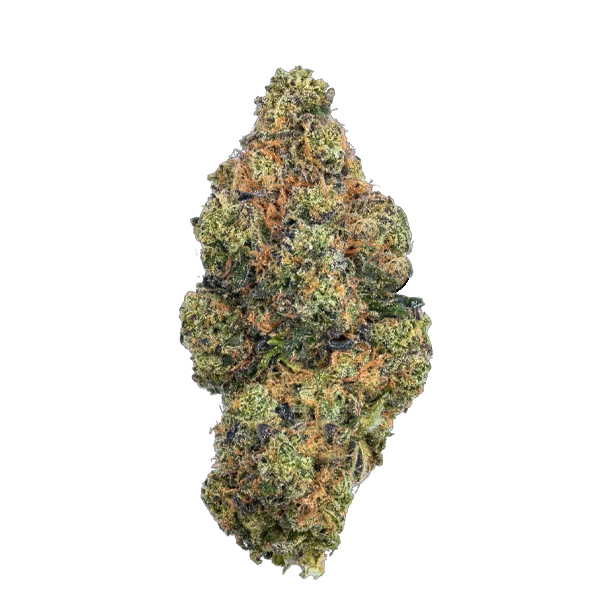 Buddah Society Buddah Grams Hashburger strain