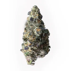 Buddah Society Buddah Grams Vice City
