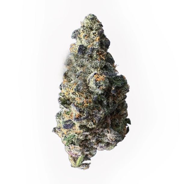 Buddah Society Buddah Grams Vice City