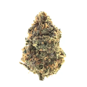 Buddah Society Grape Pie